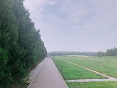 -汉景帝阳陵博物院