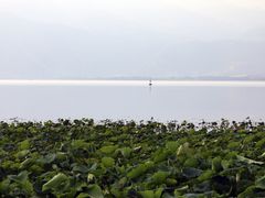 -西昌邛海湿地