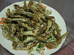 -上海老范农家乐(崇明前卫村店)
