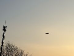 -南翔镇银翔湖公园