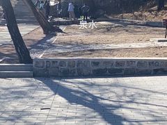 -阳台山自然风景区