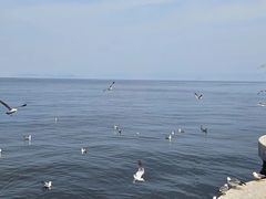 -星海湾跨海大桥