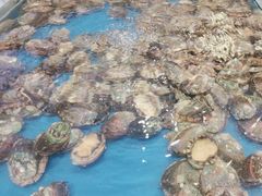 -川骄海鲜自助(河东店)