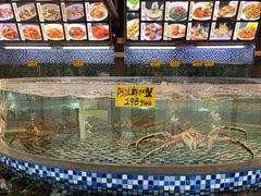 水产区-顺德了能馆(虎门店)