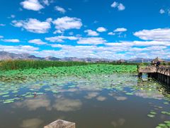 -敕勒川草原文化旅游区