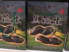 -邓小平故里