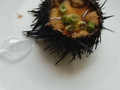 -日月昇渔家菜·海肠捞饭·大连海鲜(星海公园店)