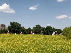 -长白岛森林公园