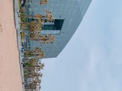 -金沙湖公园