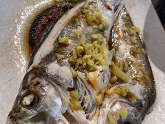 醇蒸鲈鱼-康泰炖汤饭店(柏苑店)