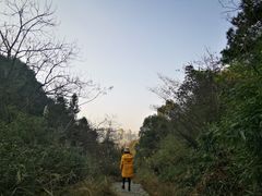 -桃花岭景区