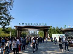 -黄海国家森林公园