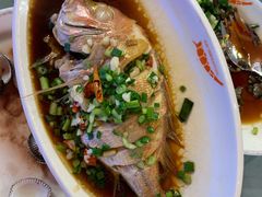 红头鱼-沈家门海鲜夜排档(东港店)