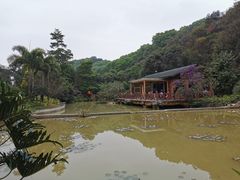 -云溪植物园
