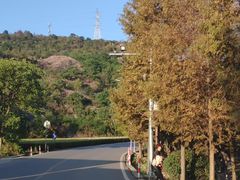 -大罗山风景区
