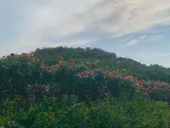 -南翠屏公园