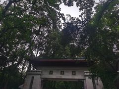 -岳麓山风景名胜区