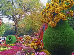 -杭州植物园