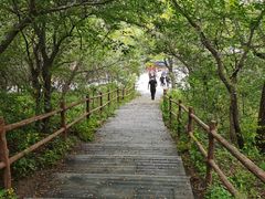 -大青沟风景区