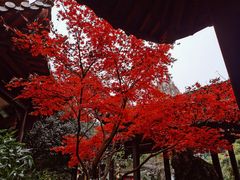 -杭州黄龙洞