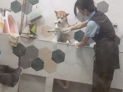 -瑞鹏宠物医院·骨科·猫科·内科(第一中心)