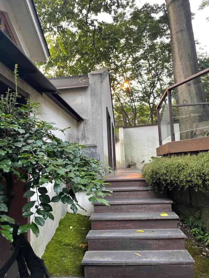 青竺·青竹茶舍(断桥店)-"每次到杭州都会过来这家店,在西湖边喝茶感.