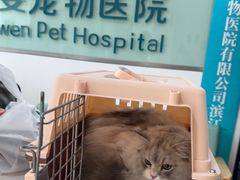 -佳雯宠物医院·皮肤科·内外科(春晓路分院)