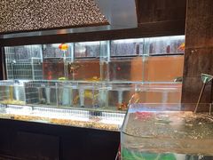 -苏淮景·苏闽融创菜·海鲜(原空港井河轩店)