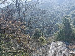 -苍山感通索道