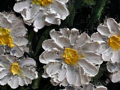 -八哥美术·成人美术画室(总校区)