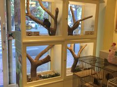 -龙猫仔乐园(惠福东路店)