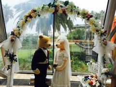 -济州岛泰迪熊博物馆