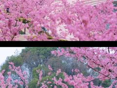 -新江湾城公园