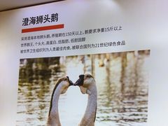 -陆记鹅庄·潮汕菜·狮头鹅(大仟里店)
