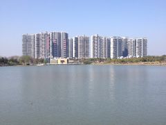 iphone_upload_pic-白塘生态植物园