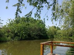 -新江湾城公园