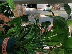 -相遇·鲜炒黄牛肉(丹阳吾悦广场店)