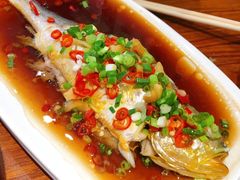 清蒸黄花鱼-全渔村小海鲜