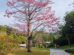 -云溪植物园