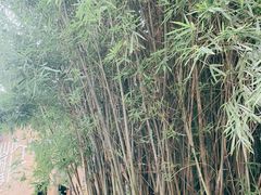 -山城巷传统风貌区