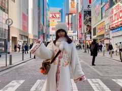 -秋叶原电器街