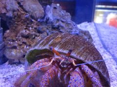 -太平洋海底世界