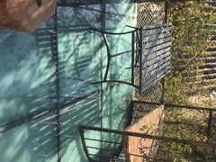 -喵屿·大理花园猫咖