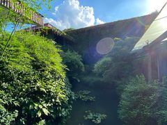 -中国茶叶博物馆(双峰馆区)