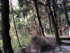 -金堂县云顶石城风景区