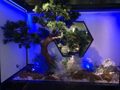 -绿茶餐厅(成都大悦城店)