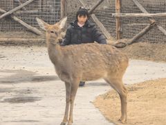 -祥源·阜阳生态乐园
