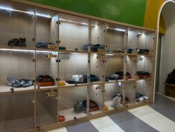 -Waof Park 淘气堡·儿童乐园(番禺天河城店)