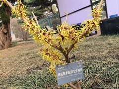 -国家植物园南园