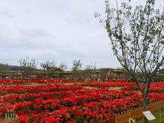 景点-盈香心动乐园